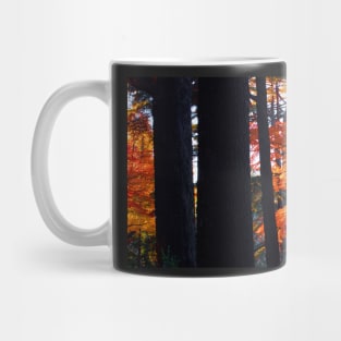 Autumn Colours 8 Mug